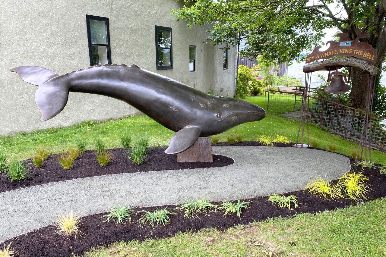 Hope, the Wishing Whale, bronze by Georgia Gerber. Seawall Park