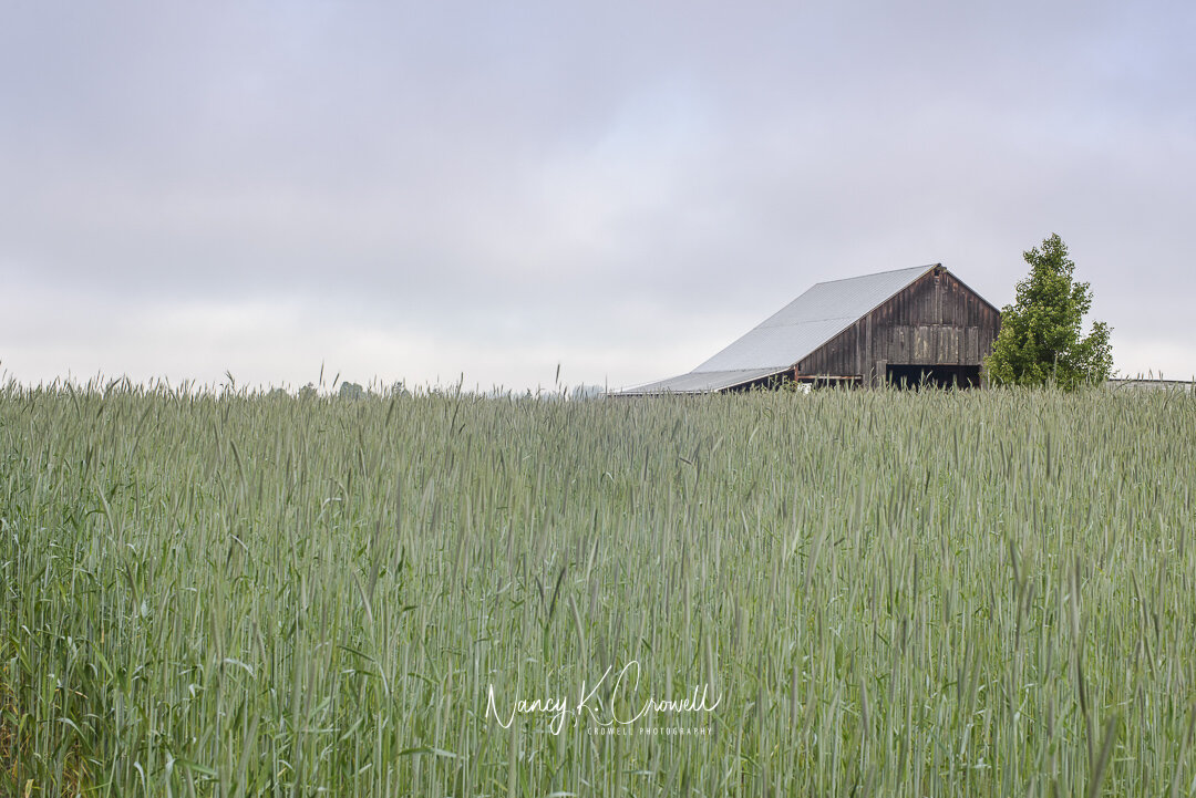 "Barn"