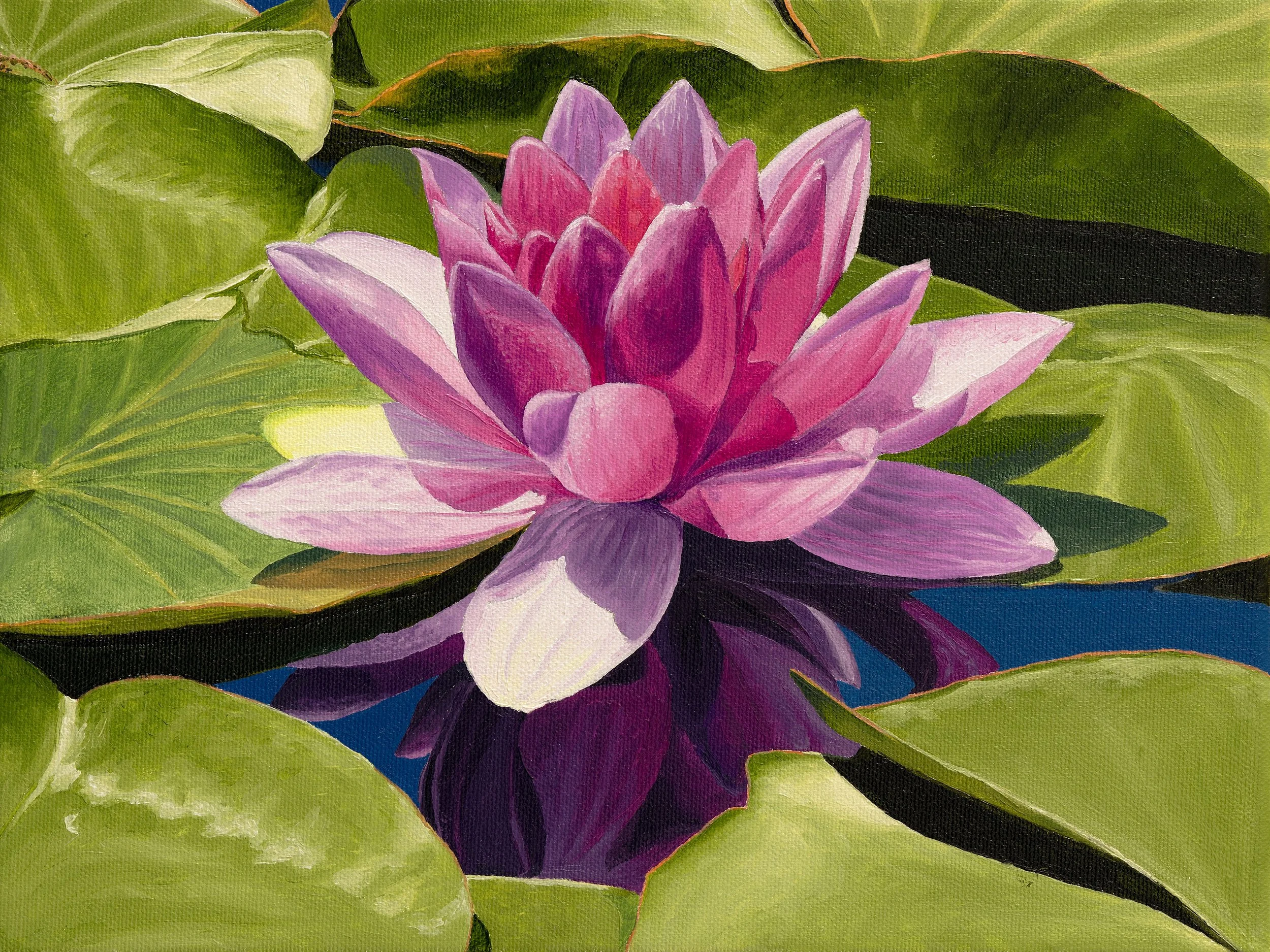 Best of the Northwest Spring show 2024