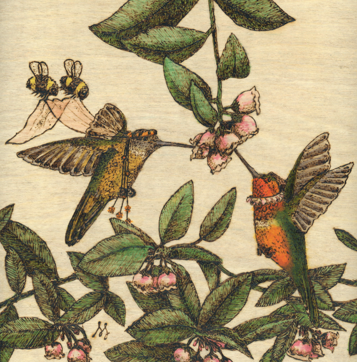 Shockley 2026-02-25 at 10.23.59 AM.png