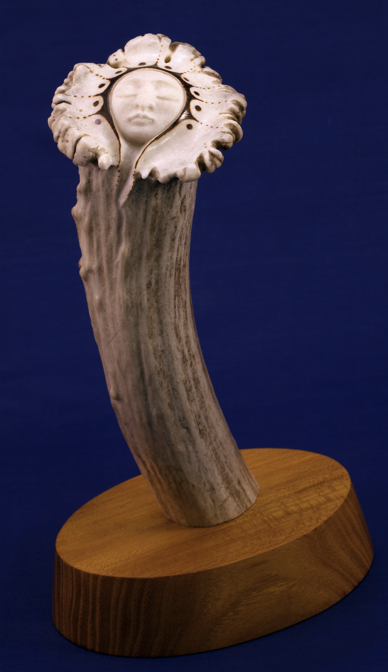 Stegall-Small 2026-02-26 at 11.37.20 AM.png