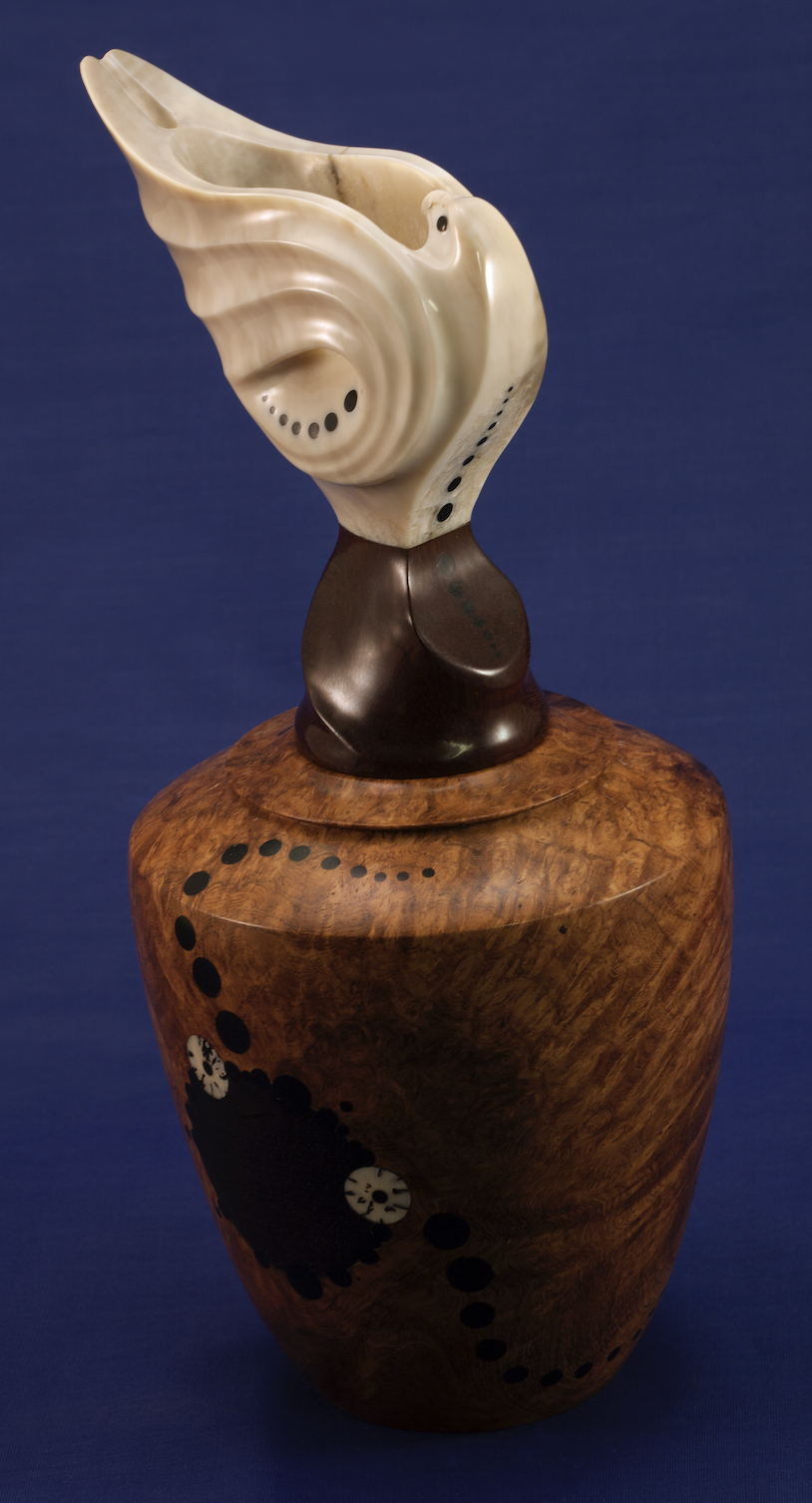 Stegall-Small 2026-02-26 at 11.37.01 AM.png