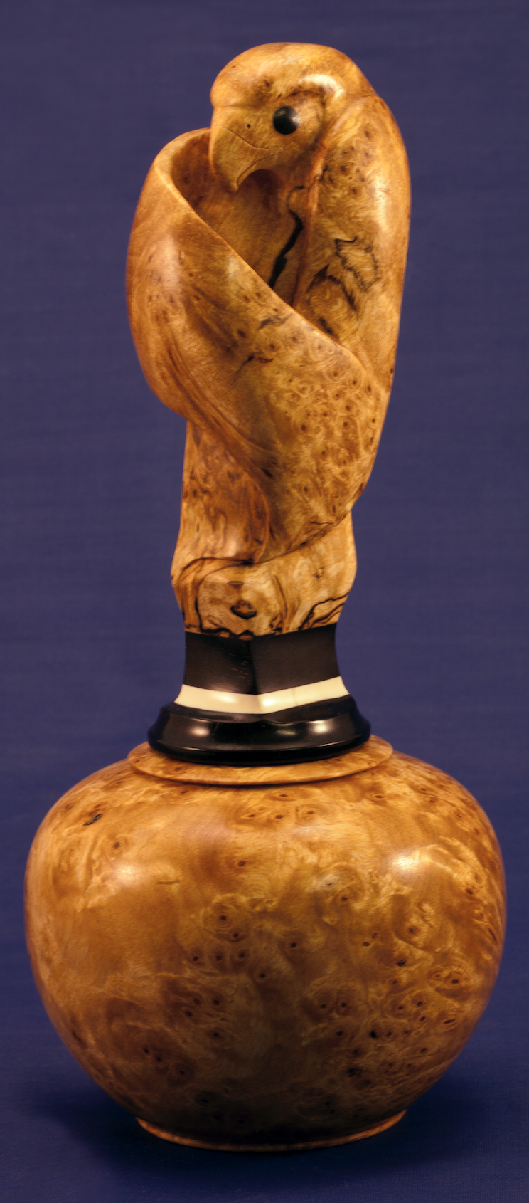 Stegall-Small 2026-02-26 at 11.37.54 AM.png