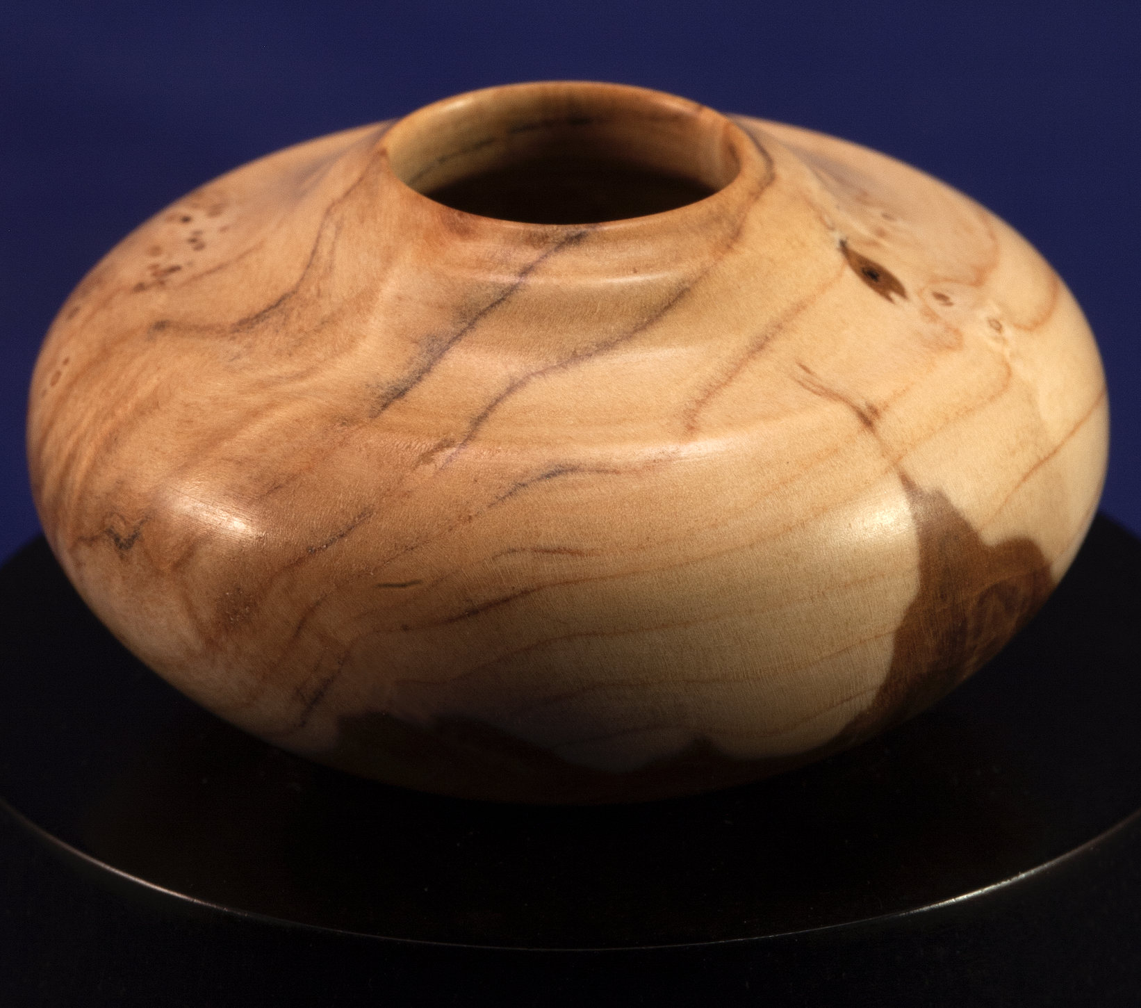 Stegall-Small 2026-02-26 at 11.37.42 AM.png