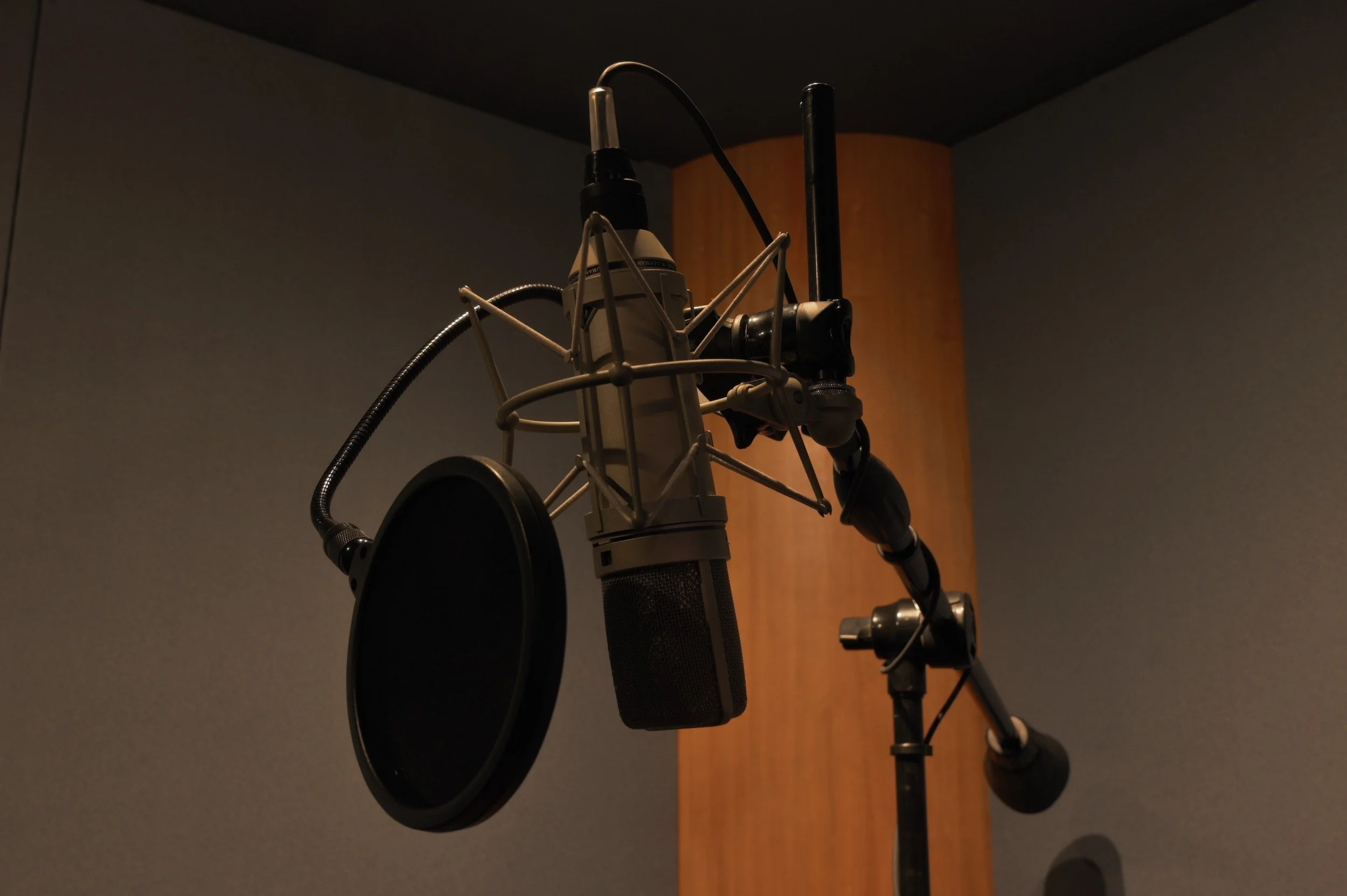 zen-estudio-microfonia.jpg