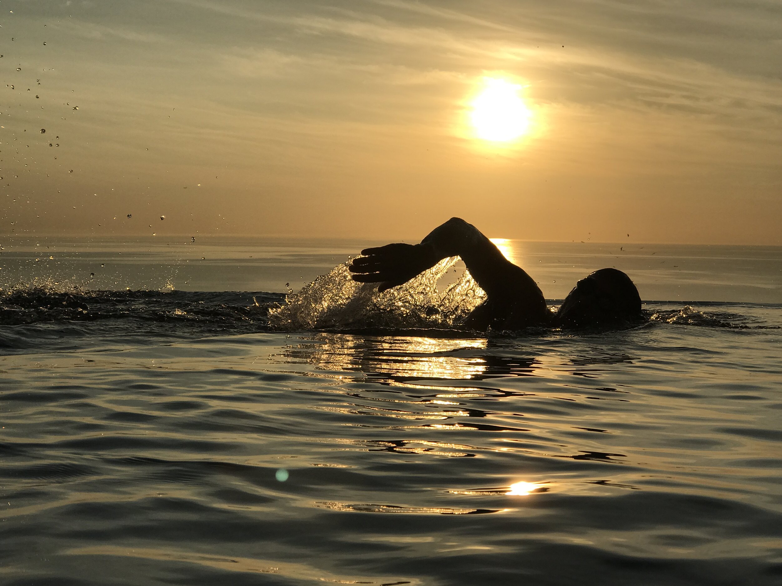 Grit: The Power of Perseverance and Passion Combined 