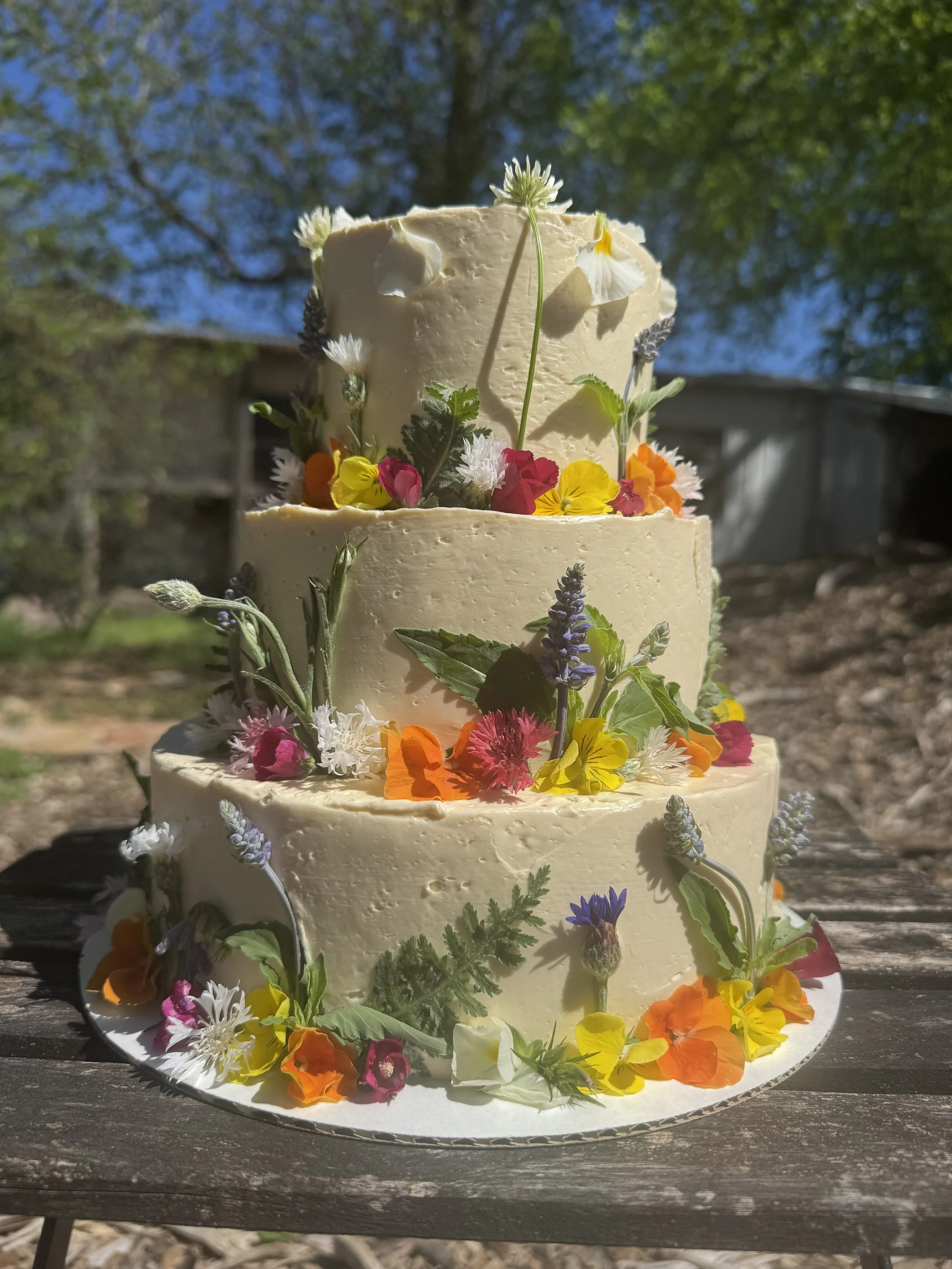 IMG_7033.jpeg (Copy)