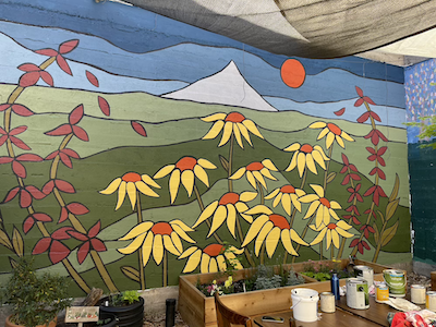 The Courtyard Canvas: Reflections on Impermanence and Art