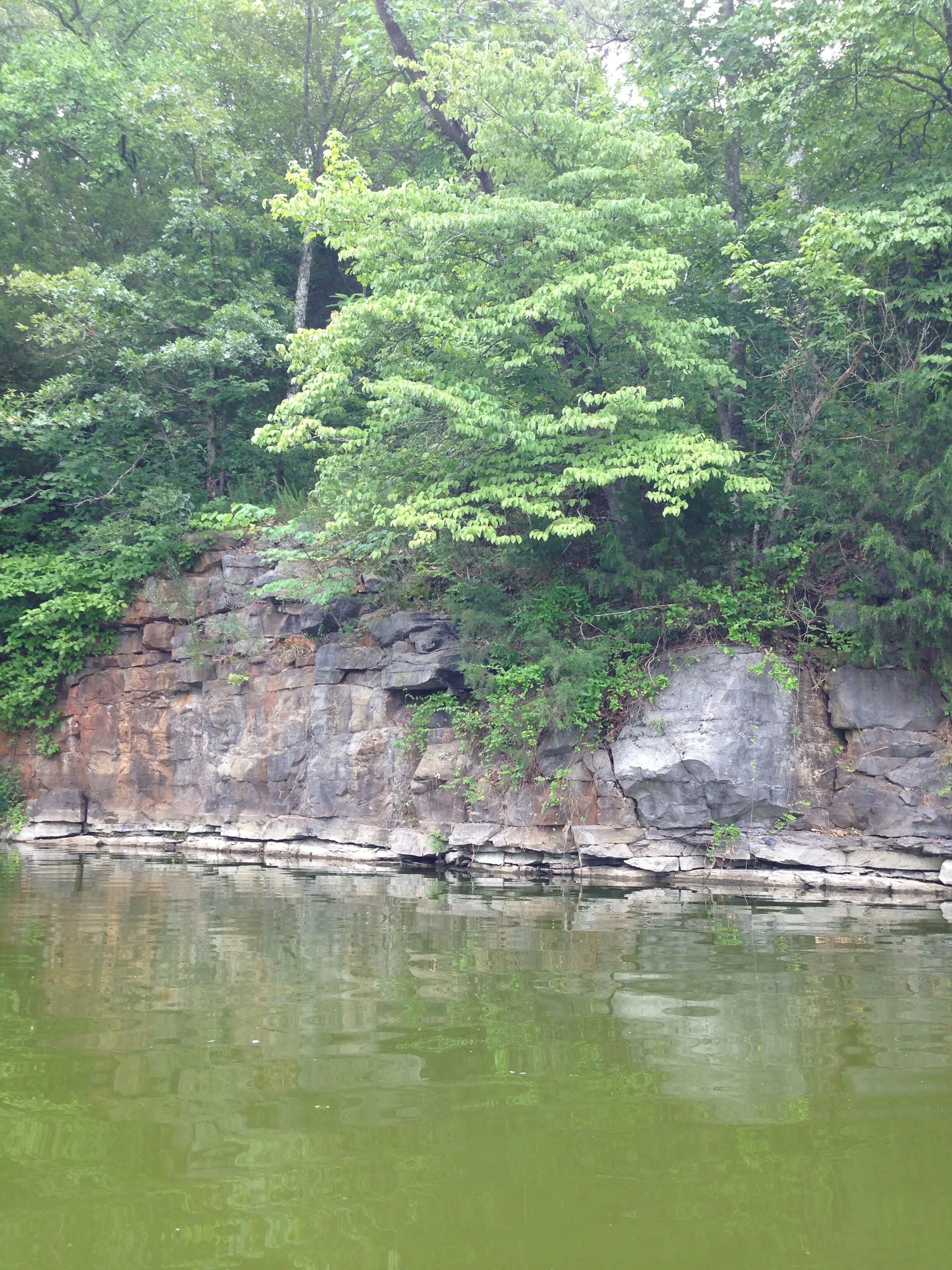 Top 5 Reasons to Kayak in Western Kentucky — Murray, Kentucky Tourism