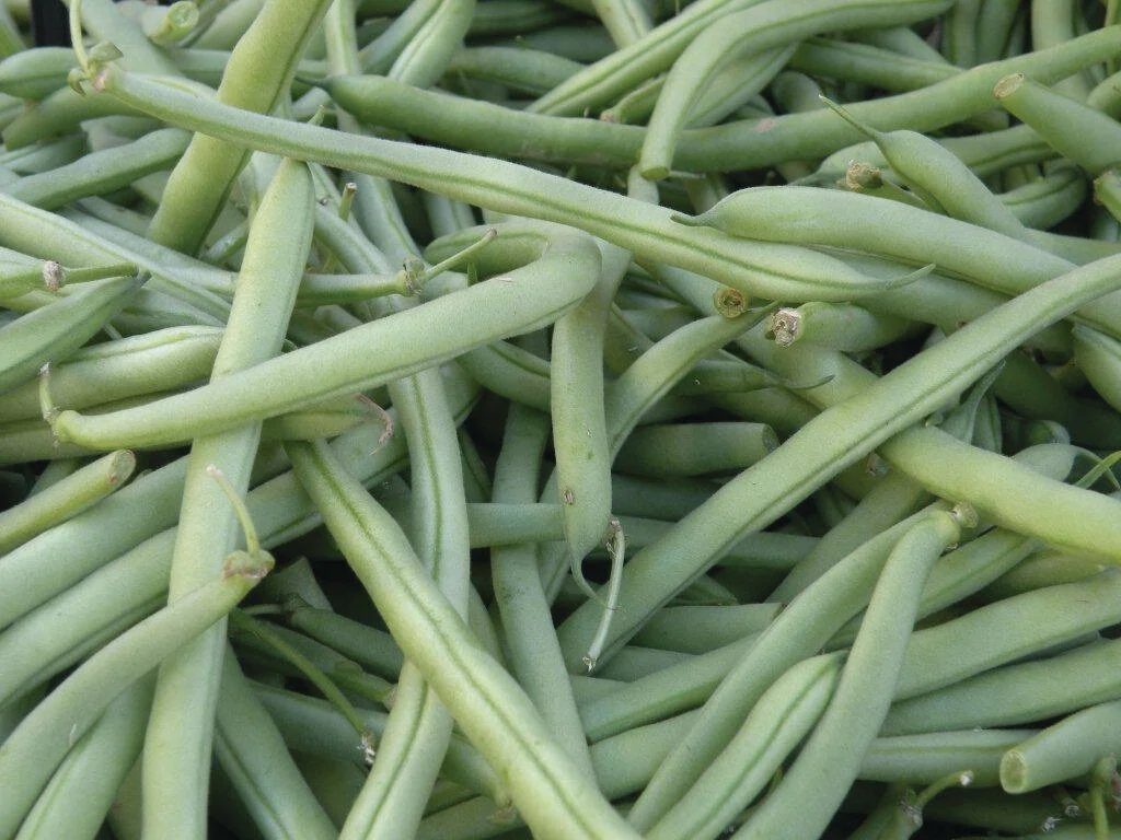 Grad Beans Student Series: Dorm Friendly Meals from the Farmers Market — Murray ...