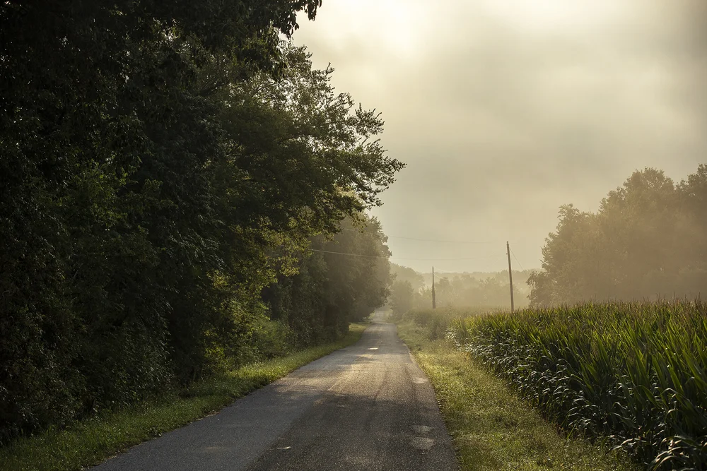 Murray, Kentucky Tourism