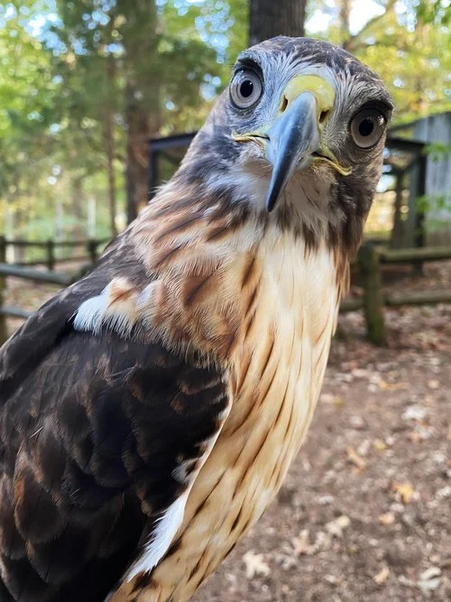 “Memorial Day Weekend in Murray, what can we do?”