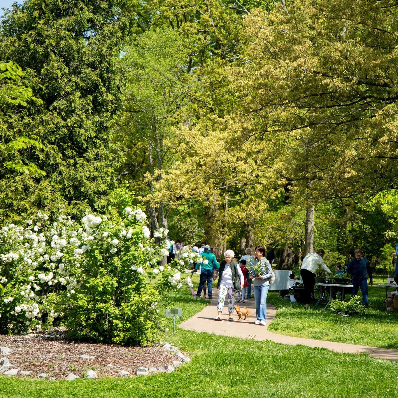 Happy Earth Day!🌎

Today we celebrate the beauty in nature, soaking it up within serene greenspaces in and around the MKY!☀️🌳 How are you spending Earth Day?

📸: @jeremymckeel 

#EarthDay2024 #HappyEarthDay #MurrayKY #MurrayKentucky