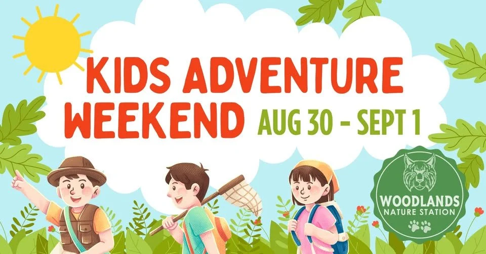 Kids Adventure Weekend @ the Woodland's Nature Station