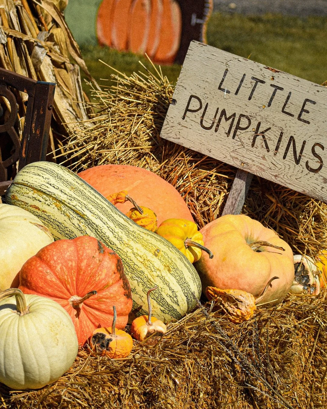 Don&rsquo;t stay up all night waiting for the great pumpkin&hellip;go get yours now! 🎃

Our guide to pumpkin patches in the MKY is updated and ready to help you plan your next pumpkin adventure. Check it out at the link in our bio 🔗