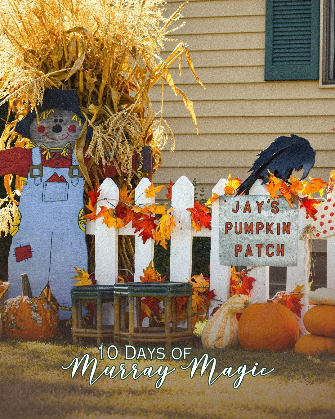 The MKY has no shortage of festive spirit. 👻 Check out the newest episode of Meet Us On Main, where we outline the next 10 Days of Murray Magic. 🪄
Start planning your Halloweekend! Listen to the episode now at the link in our bio.