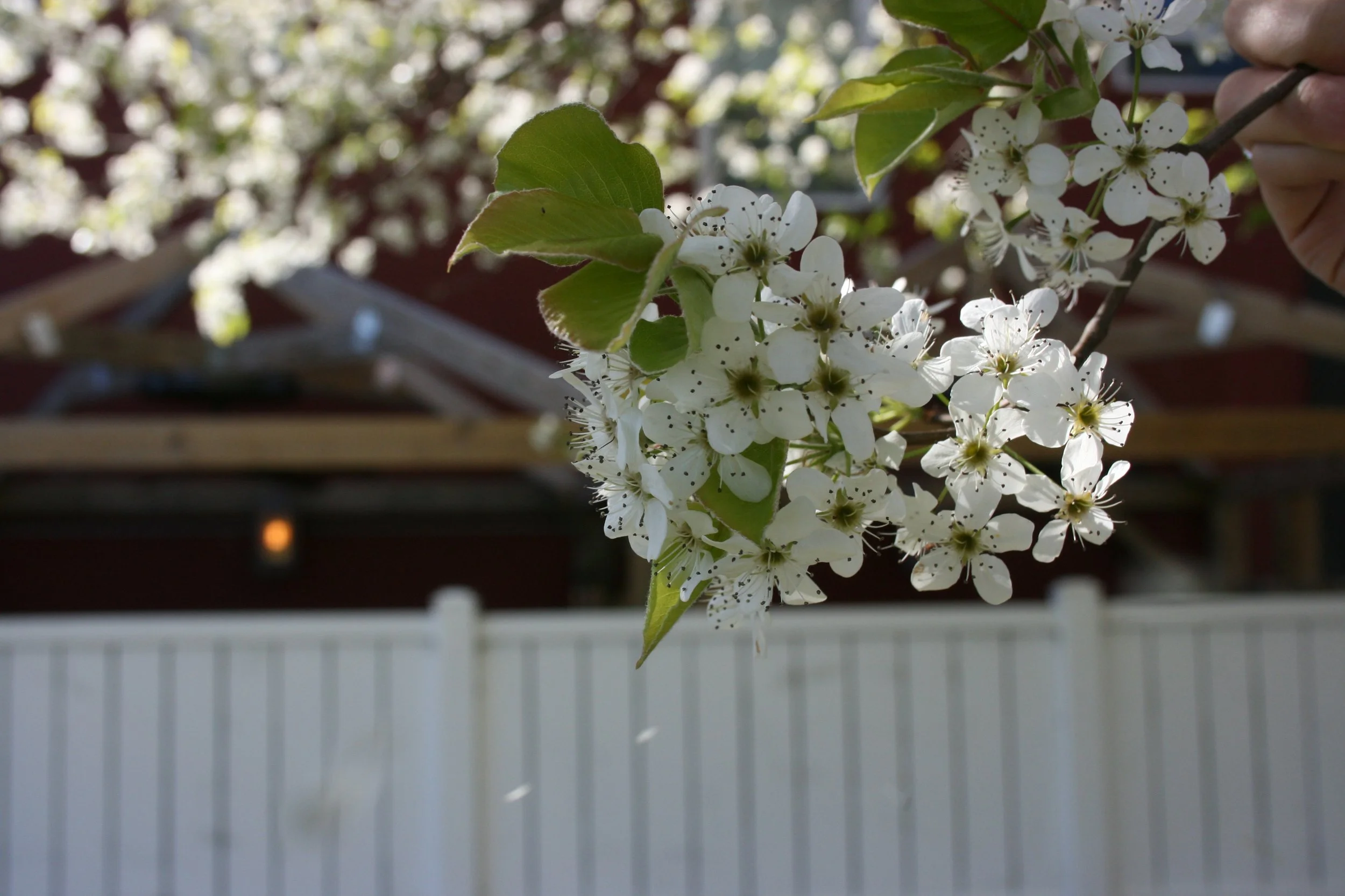 Treat Yourself: A Guide to Self-Care Dates in Murray