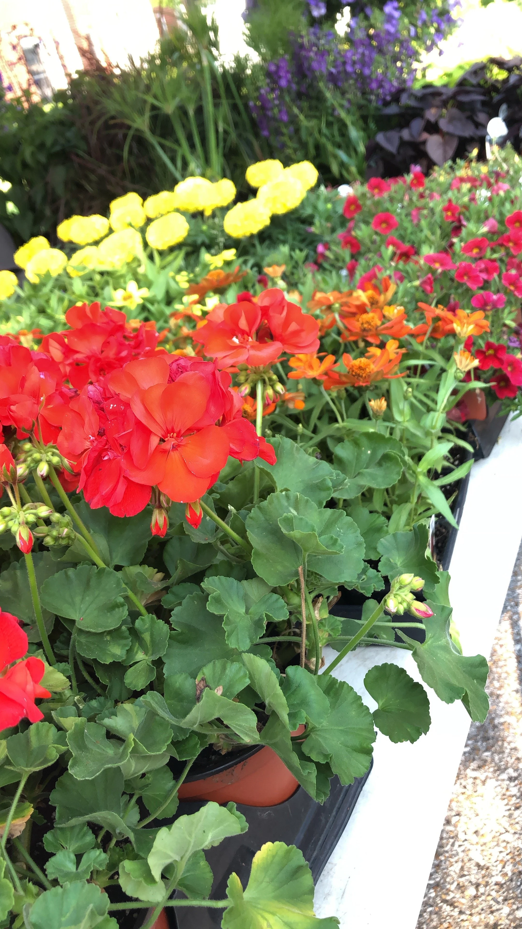 Need the Perfect Date Idea? MKY’s Got It Covered