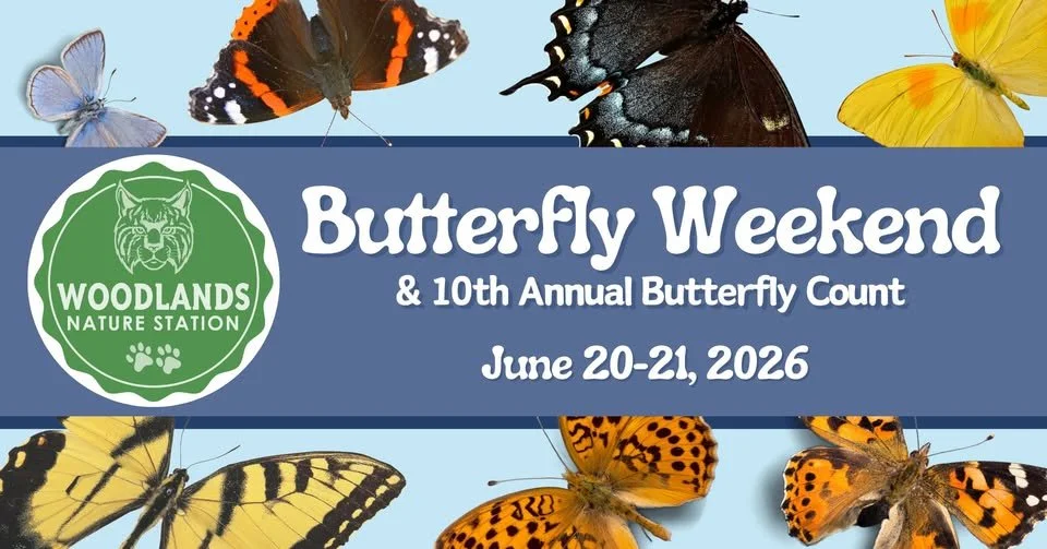 Butterfly Weekend @ Woodlands Nature Station