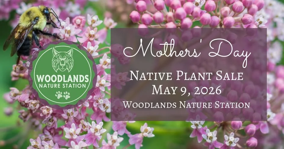 Mother's Day Plant Sale @ Woodlands Nature Station 