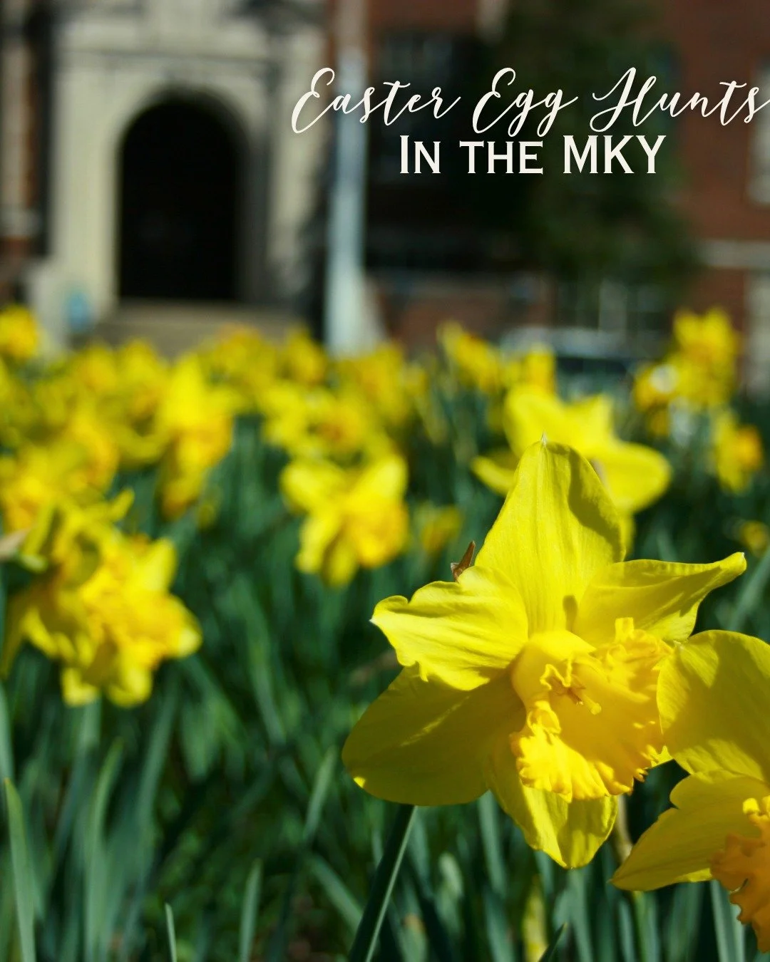 Check out our list of Easter Egg Hunts happening in the MKY! 🐣 For more events &amp; info visit the link in our bio.