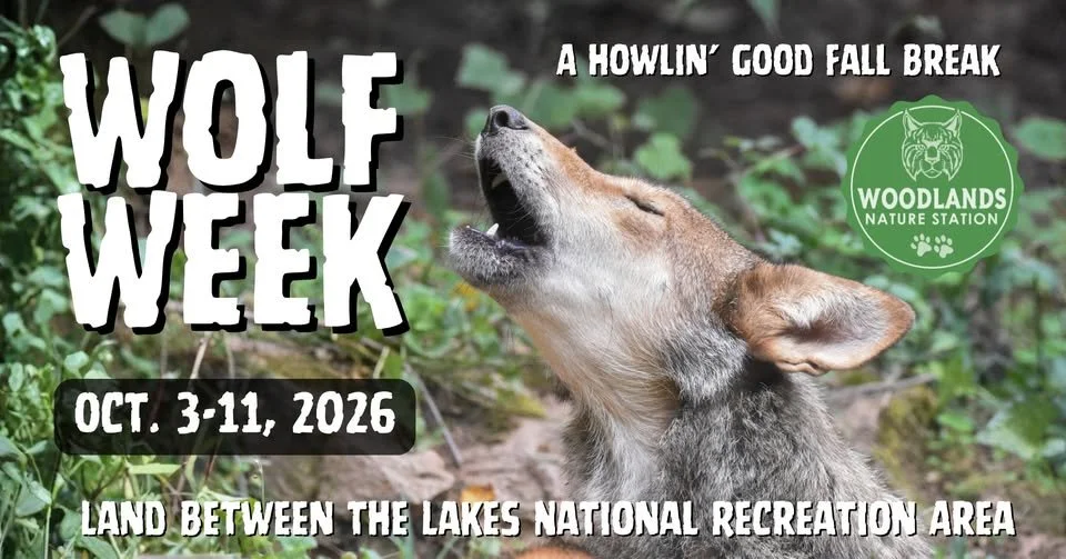 Wolf Week @ the Nature Station