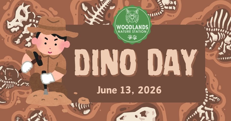 Dino Day @ Woodland Nature Station