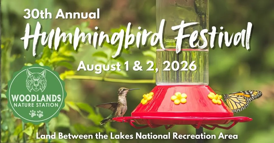 Humming Bird Festival @ Woodland Nature Station