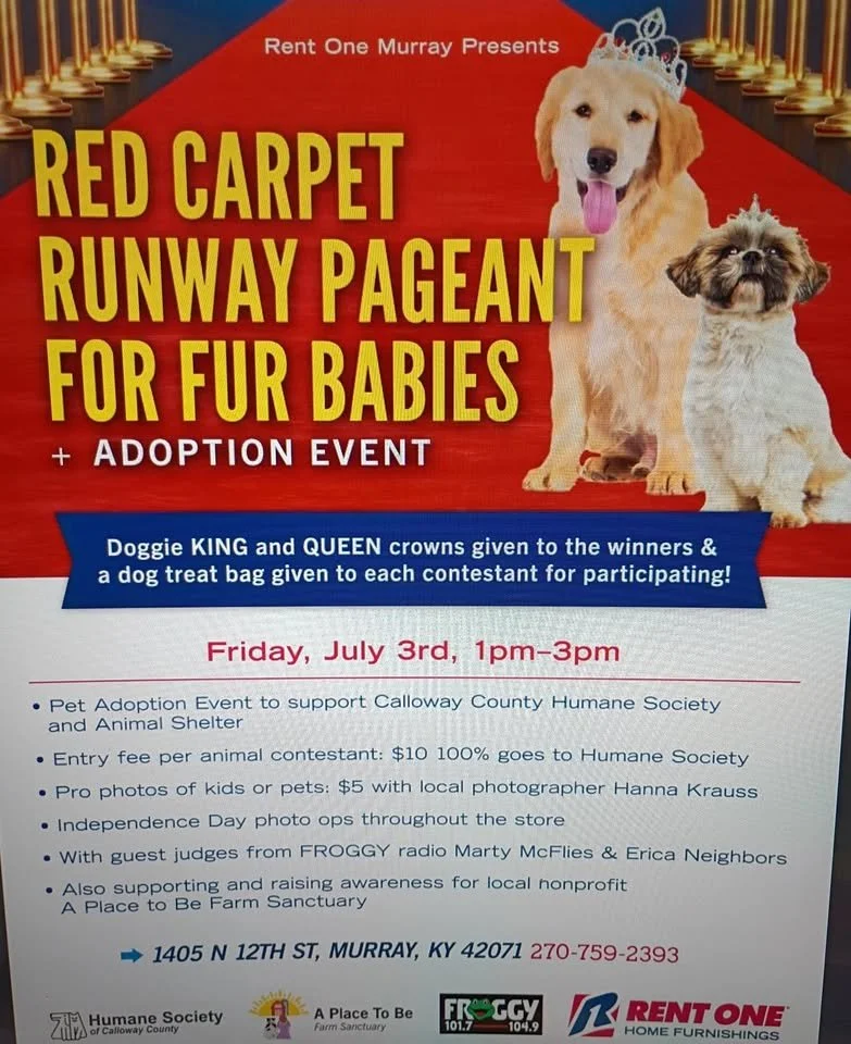Rent One Murray Dog Pageant