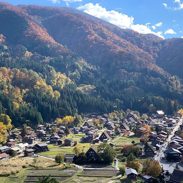 Some of my favorite photos we have taken in Japan.  Shirakawa-Go, Nara, Kyoto, Nikko and Tokyo are featured here.

When your experts in Japan @jonathanstravels plan your adventure to the land of the rising sun, it will be like no other. 
While we are