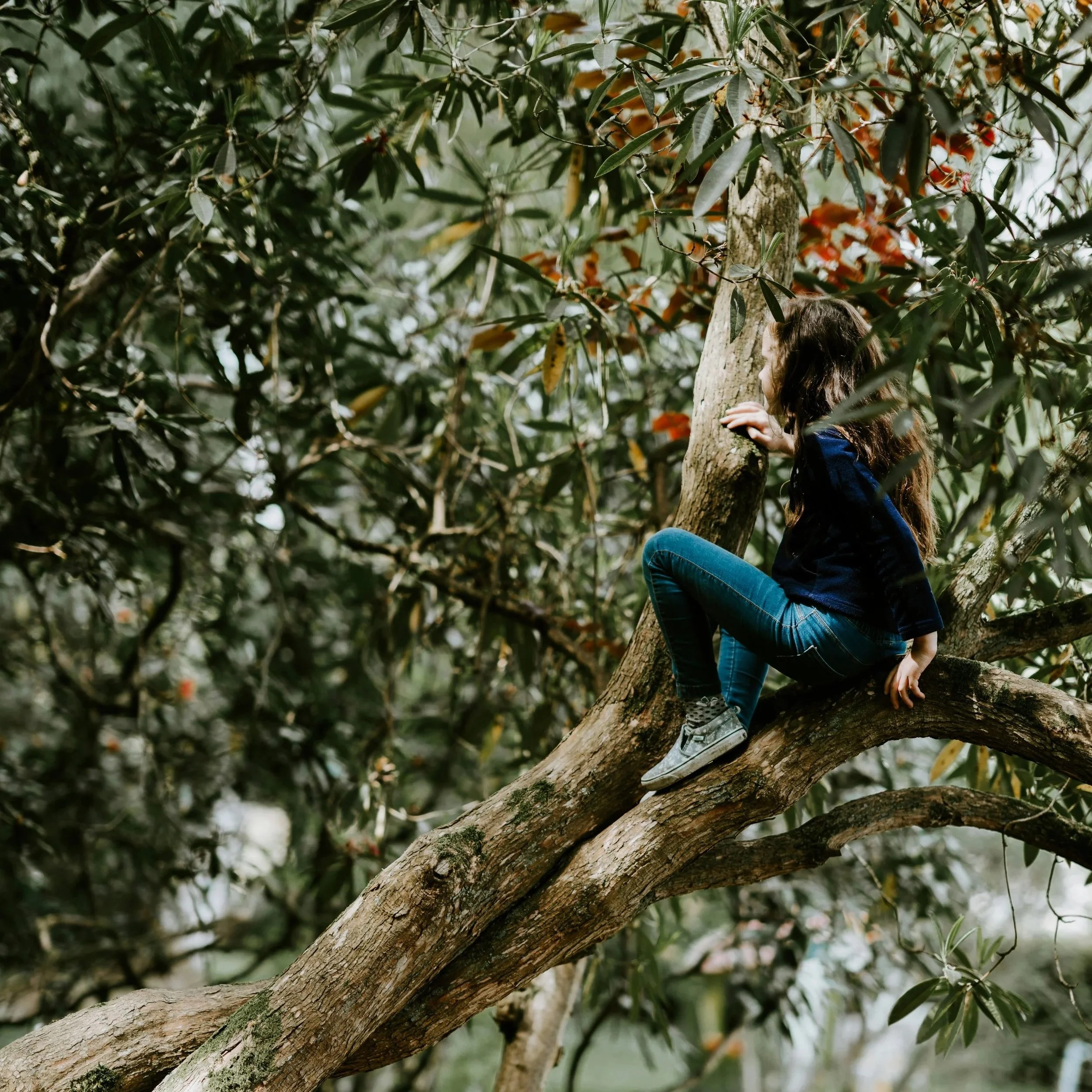 annie-spratt-EUfxH-pze7s-unsplash.jpg