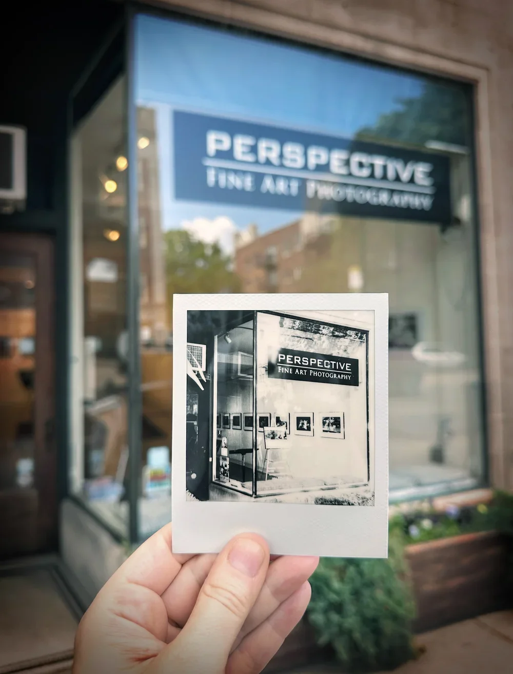 past events — Perspective Gallery