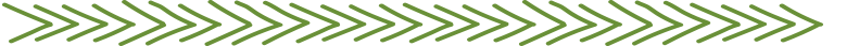 Arrow-Line-Small-Green-2.png