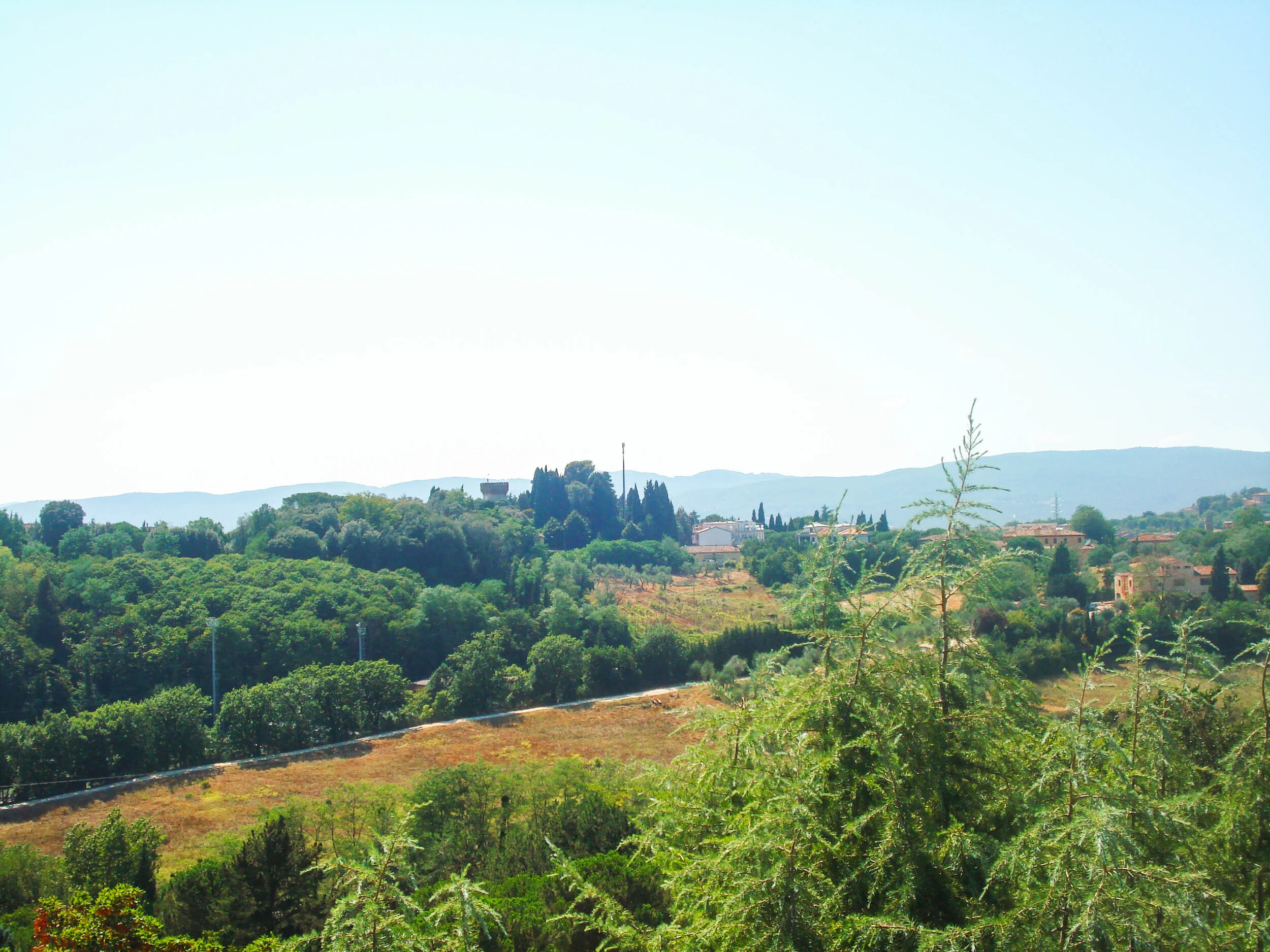 DSC03473.jpg