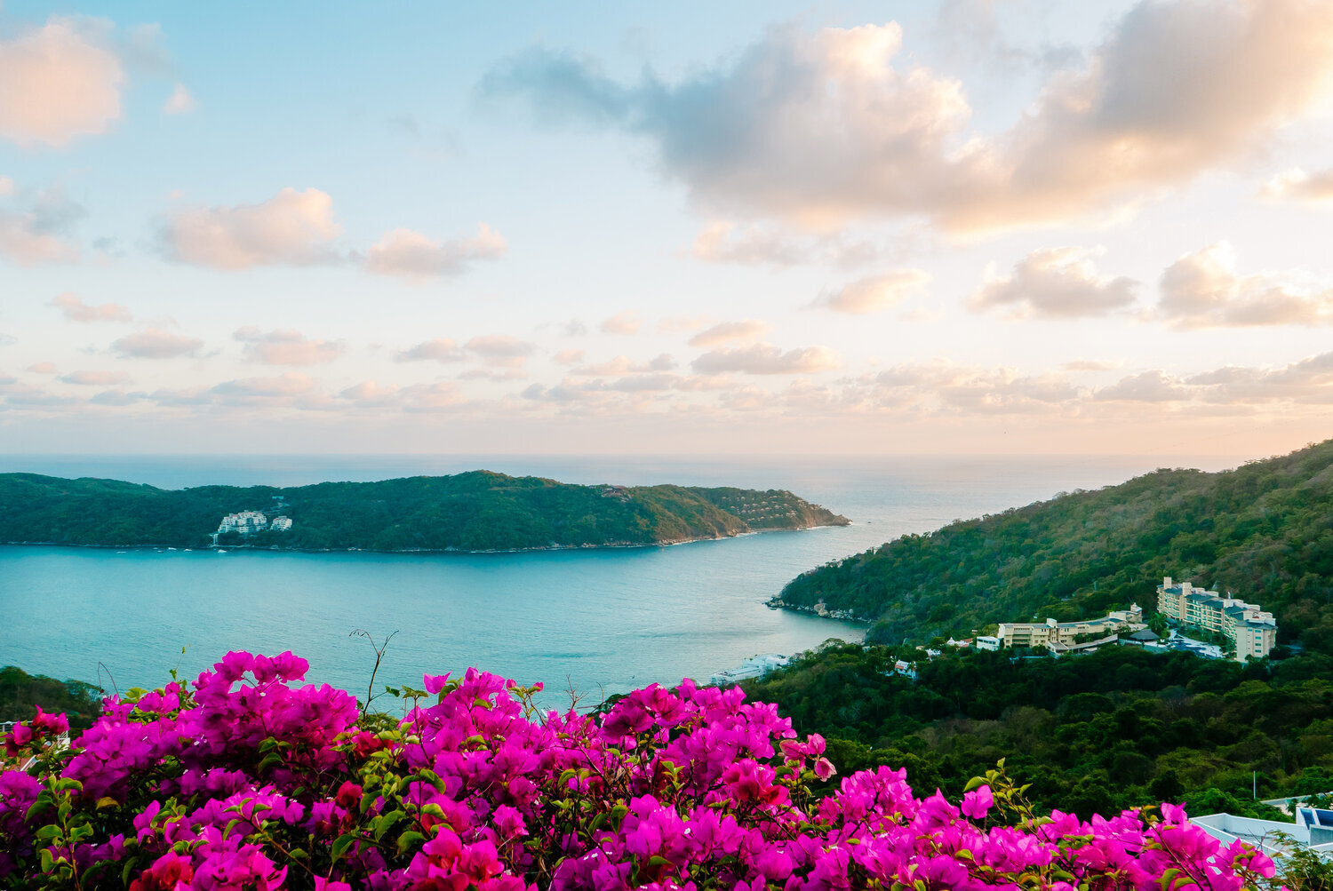 Spotlight On: Acapulco