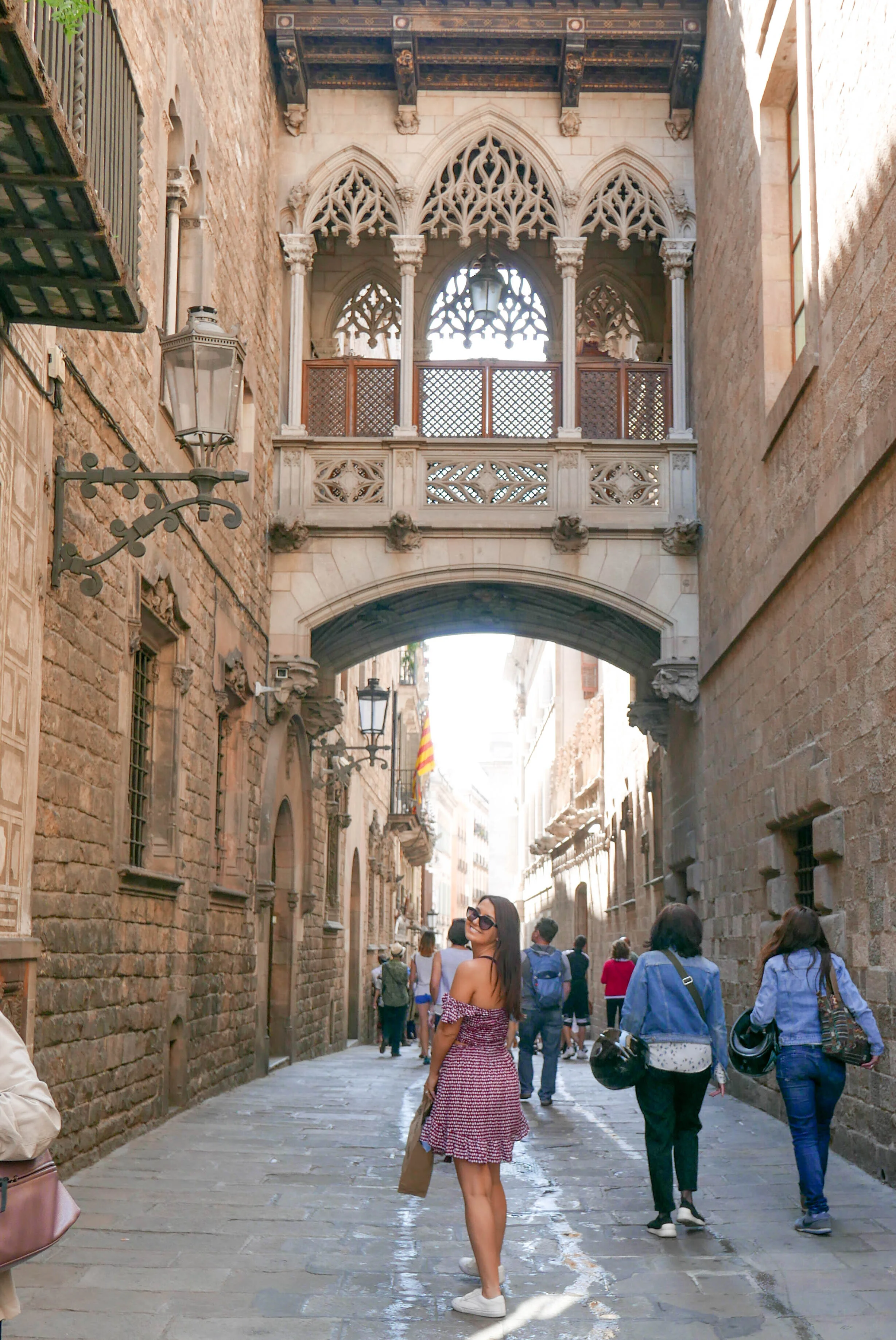 L6230032.jpg