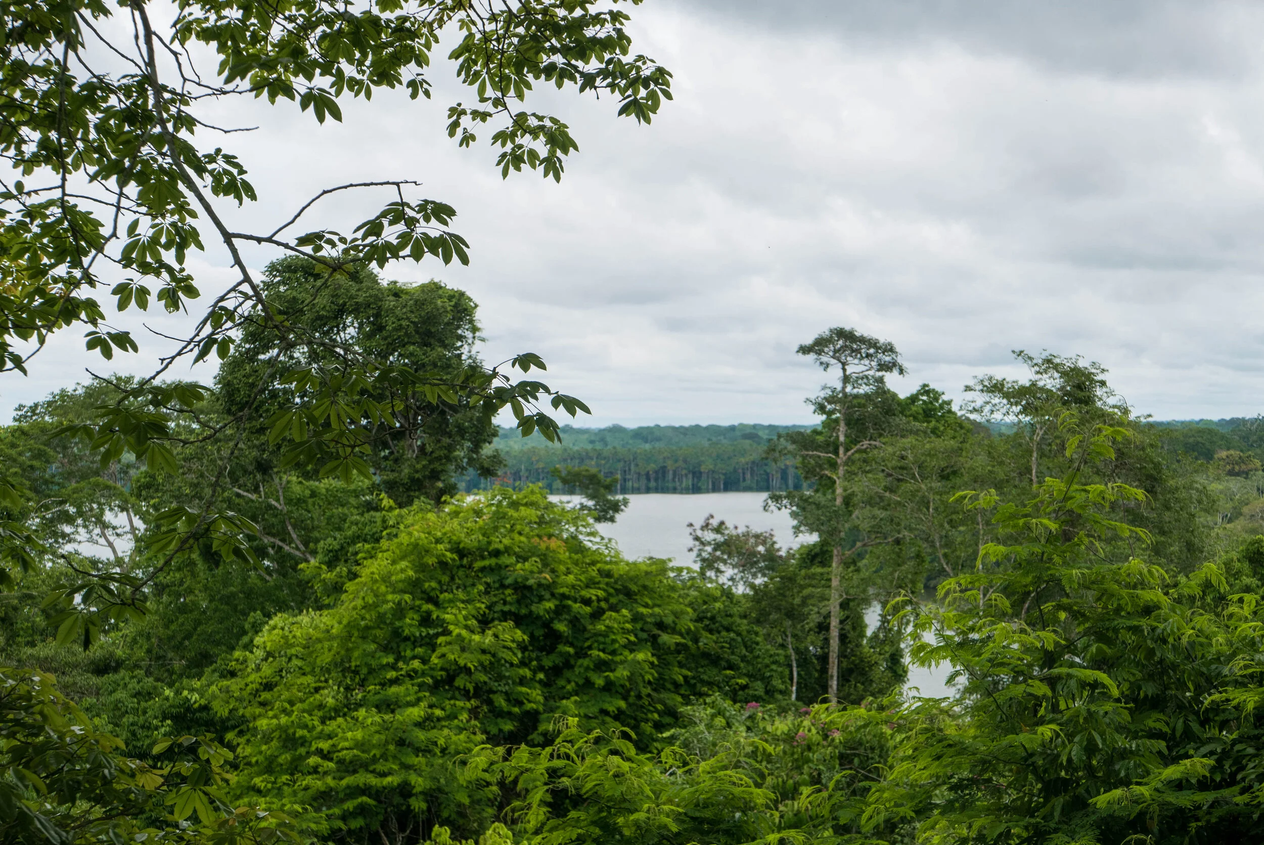L6240043.jpg