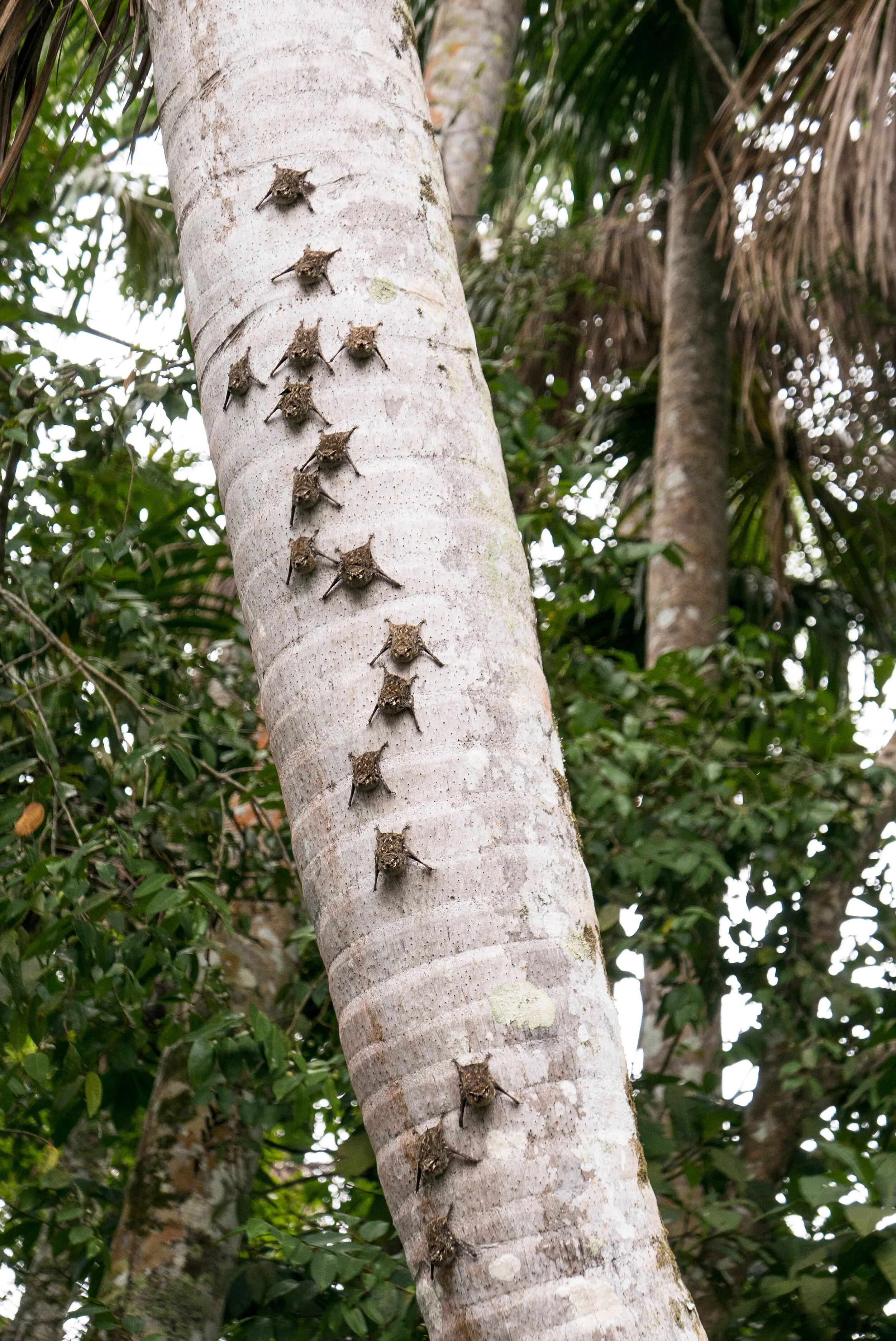 L6230942.jpg