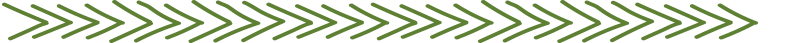 Blog Arrow.png