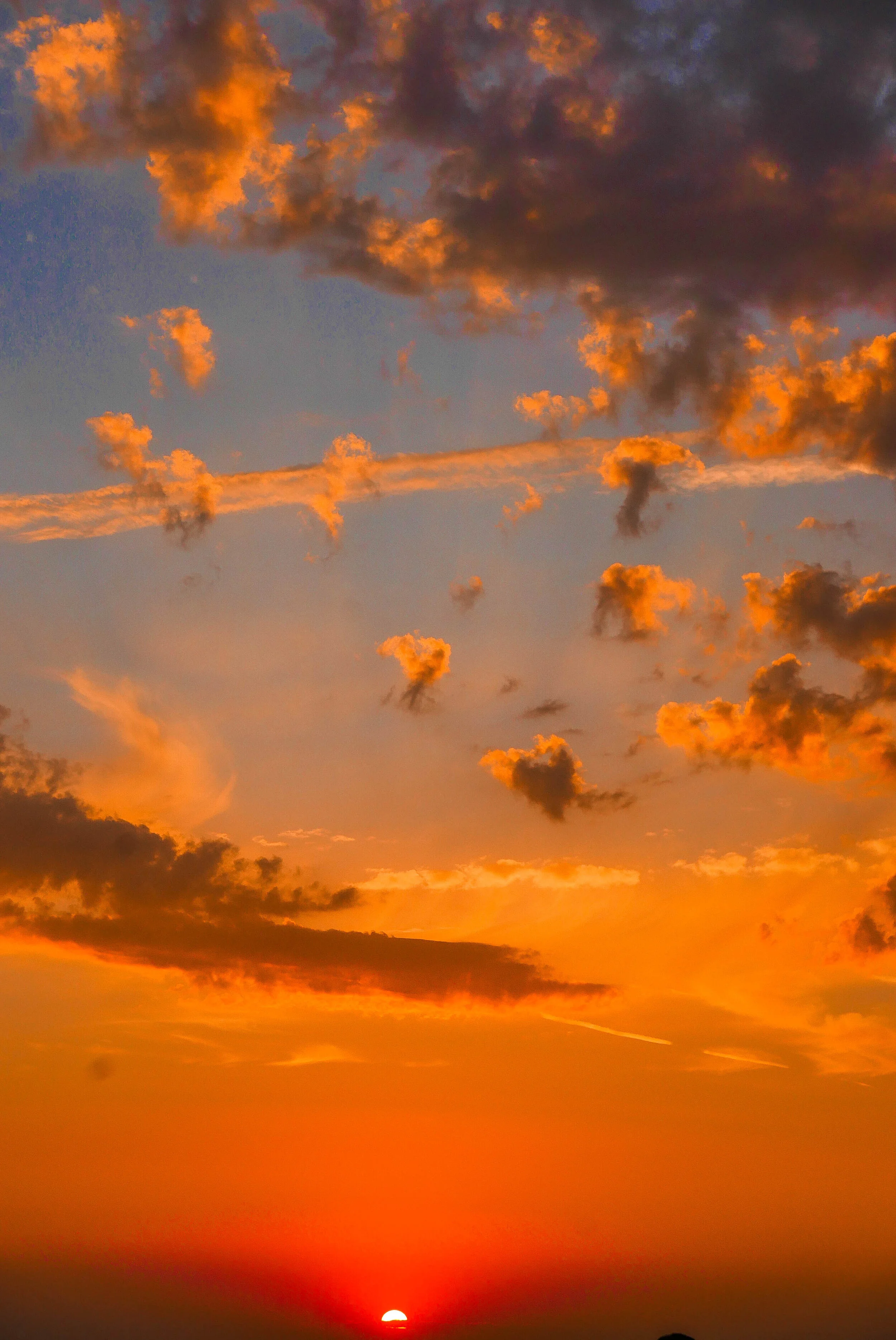 L6190101.jpg
