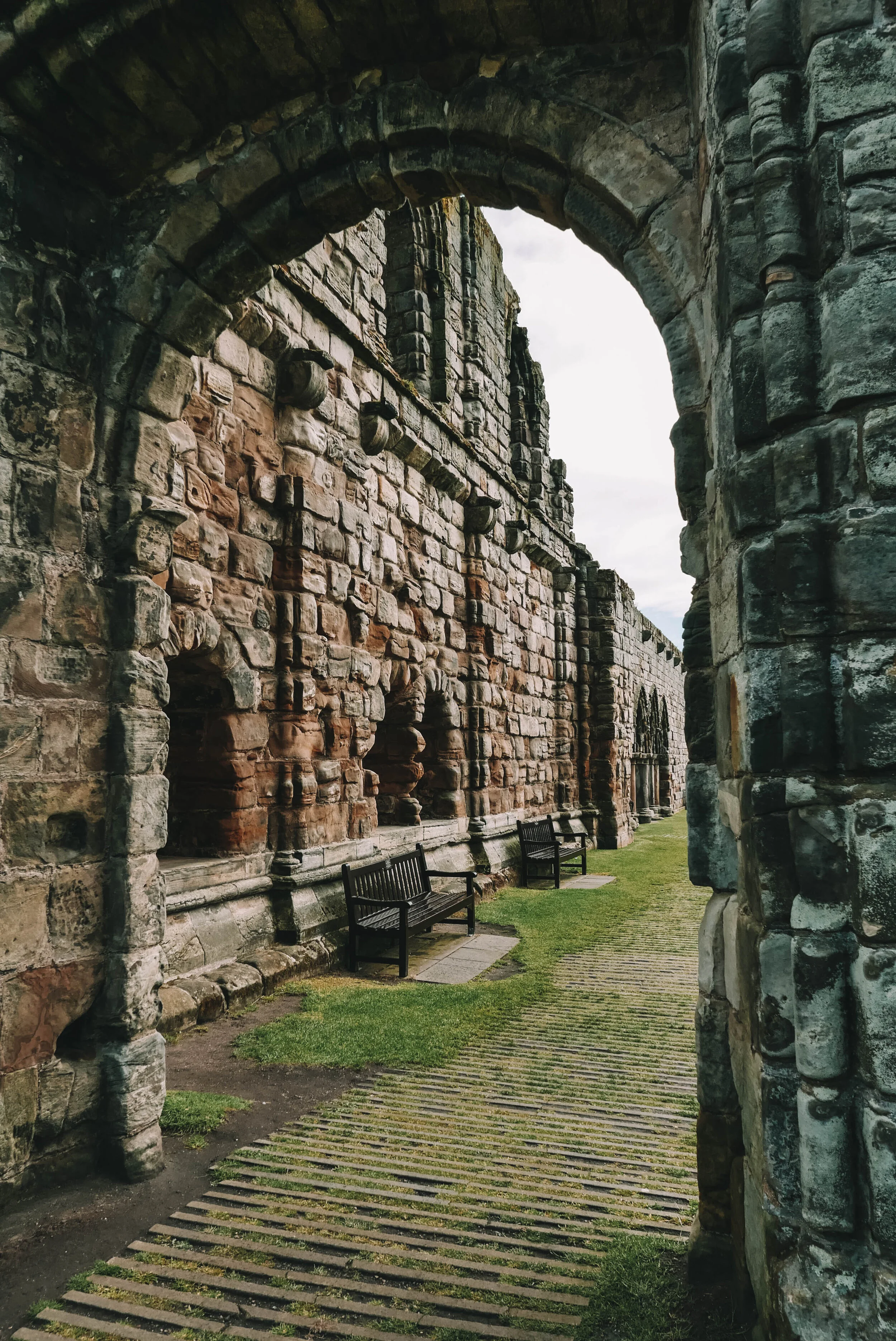 L6210744.jpg