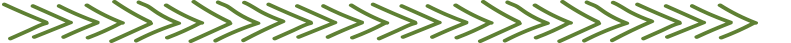 Blog Arrow.png