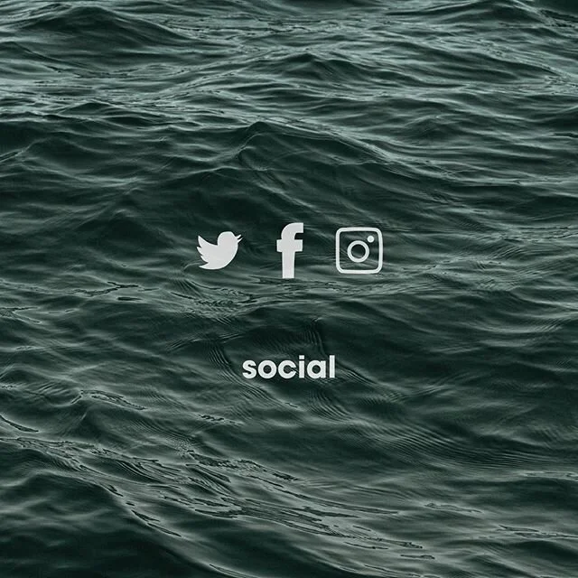 Social media management that builds an online presence on all relevant platforms.