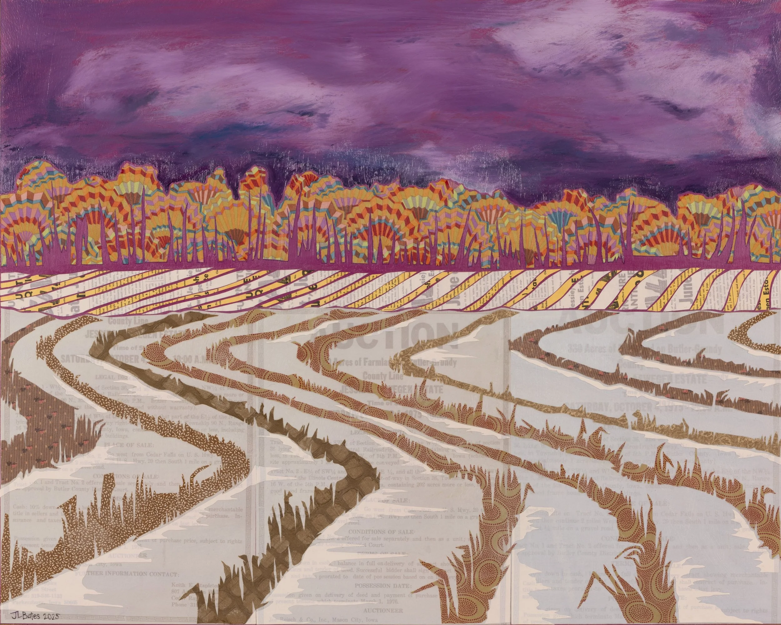Winter Crop Rows