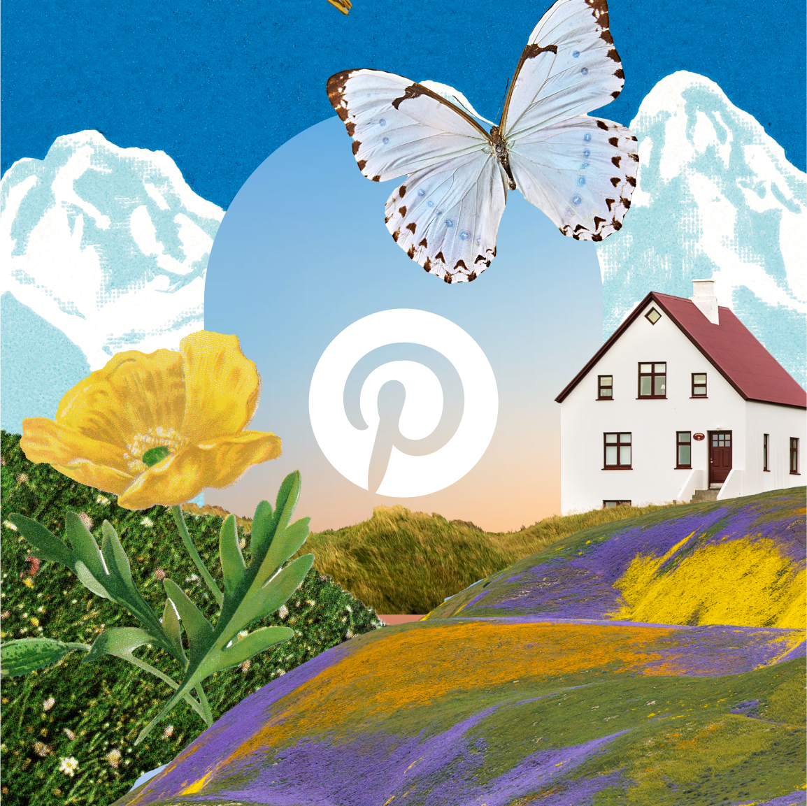 PINTEREST | B2B NEWSLETTERS