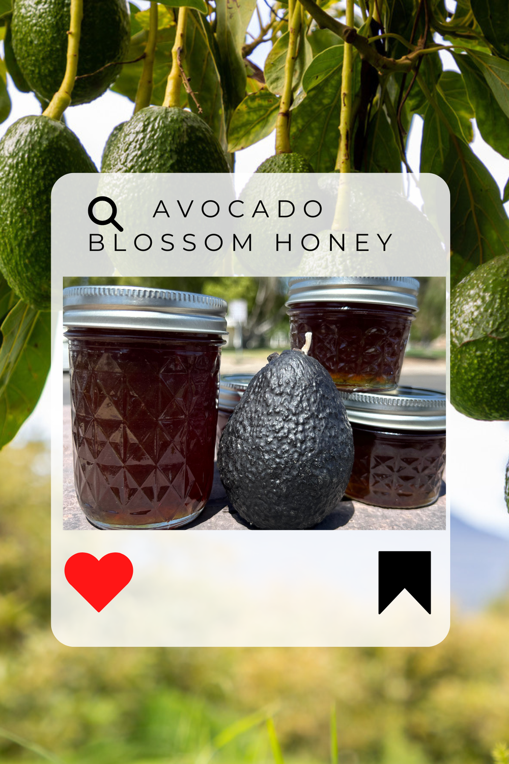 3AB57998-6BBB-4F17-B73E-