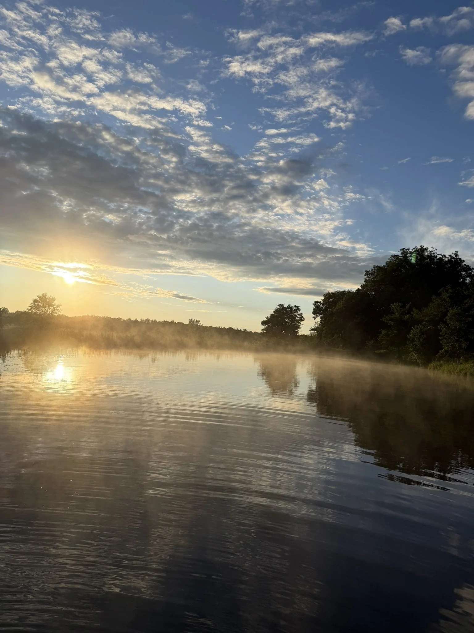 68EE3944-93F1-495F-B573-DFB19335CF6D_1_102_o.jpeg