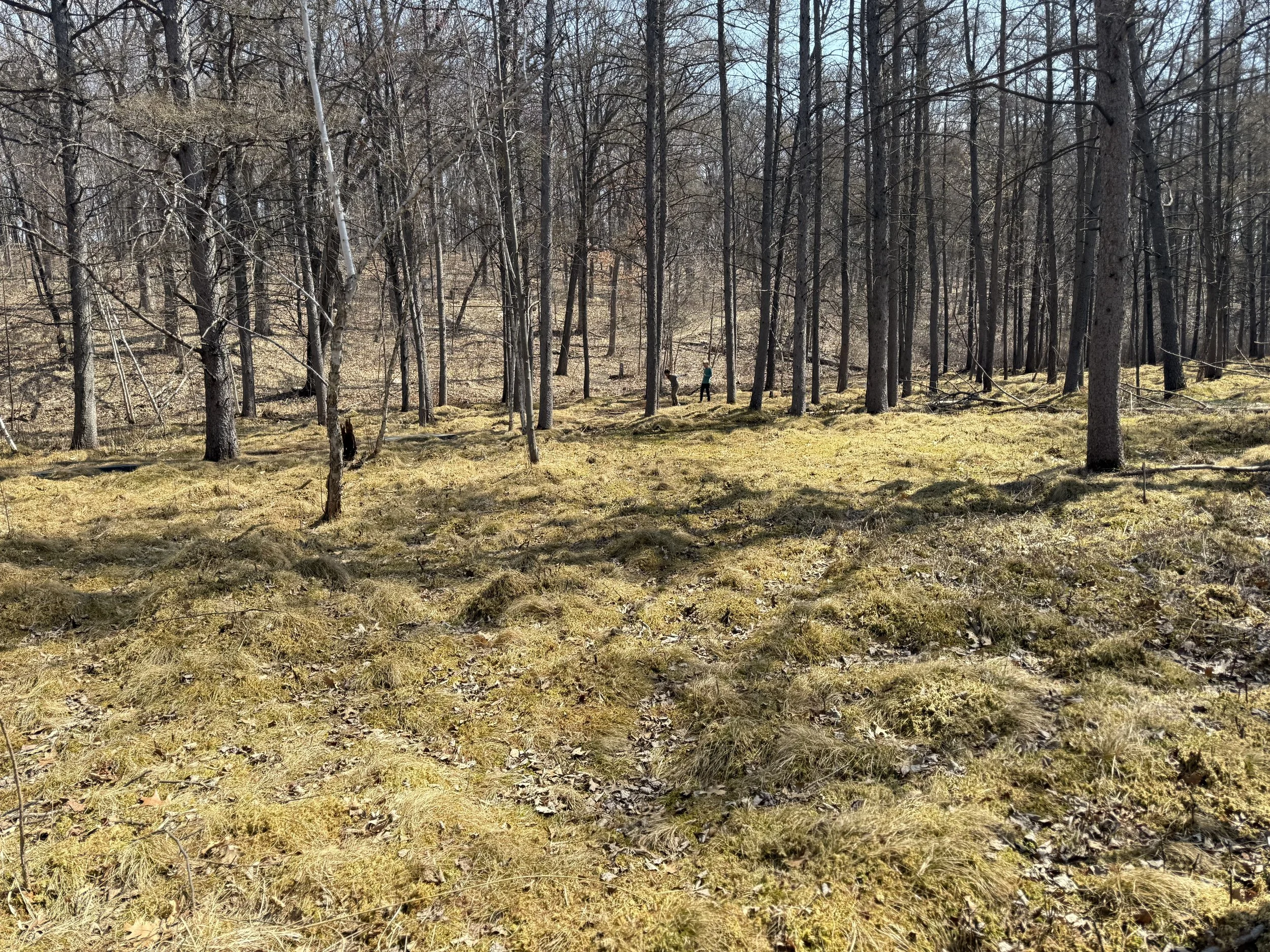 IMG_8638.jpeg