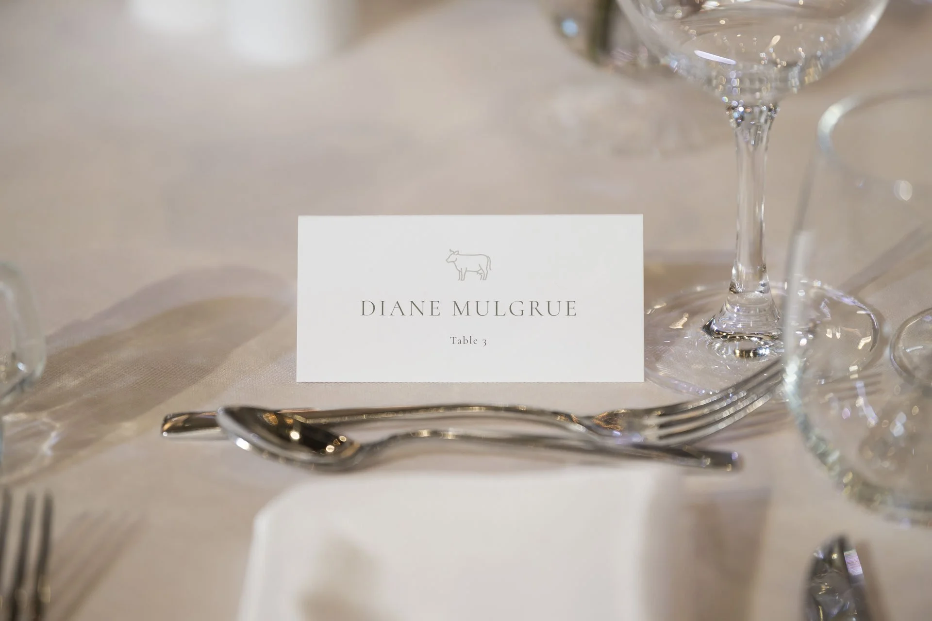 Erin & Craig_1ninephotocinema2.jpeg