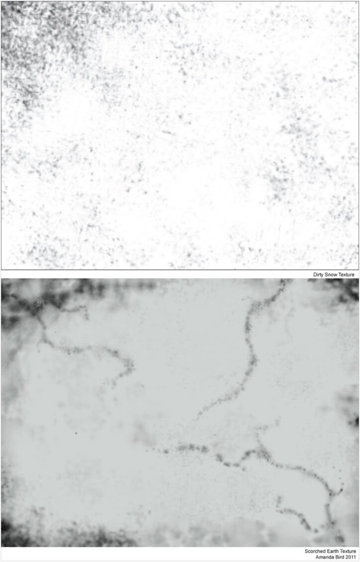 amandabirdtexture.jpg